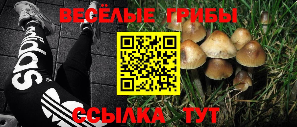 Галлюциногенные грибы Magic Shrooms Скопин