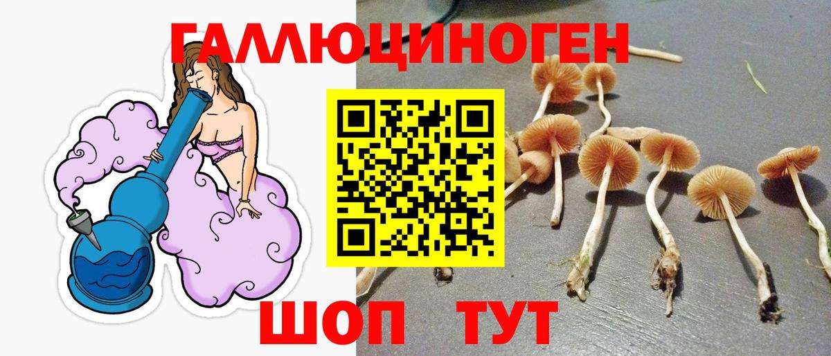 Скопин  Псилоцибиновые грибы Magic Shrooms  магазин  наркотиков  Вход с VPN 