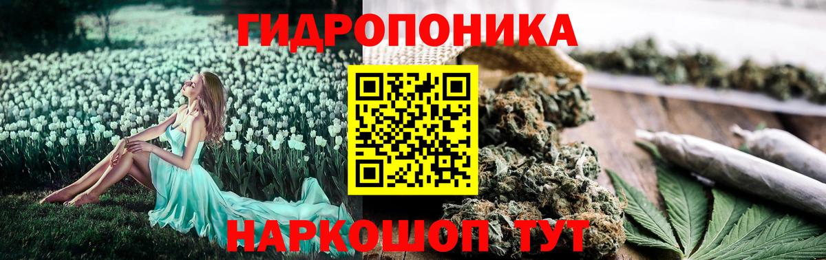 Марихуана Amnesia  Вход с VPN  Бошки марихуана Amnesia  Скопин 